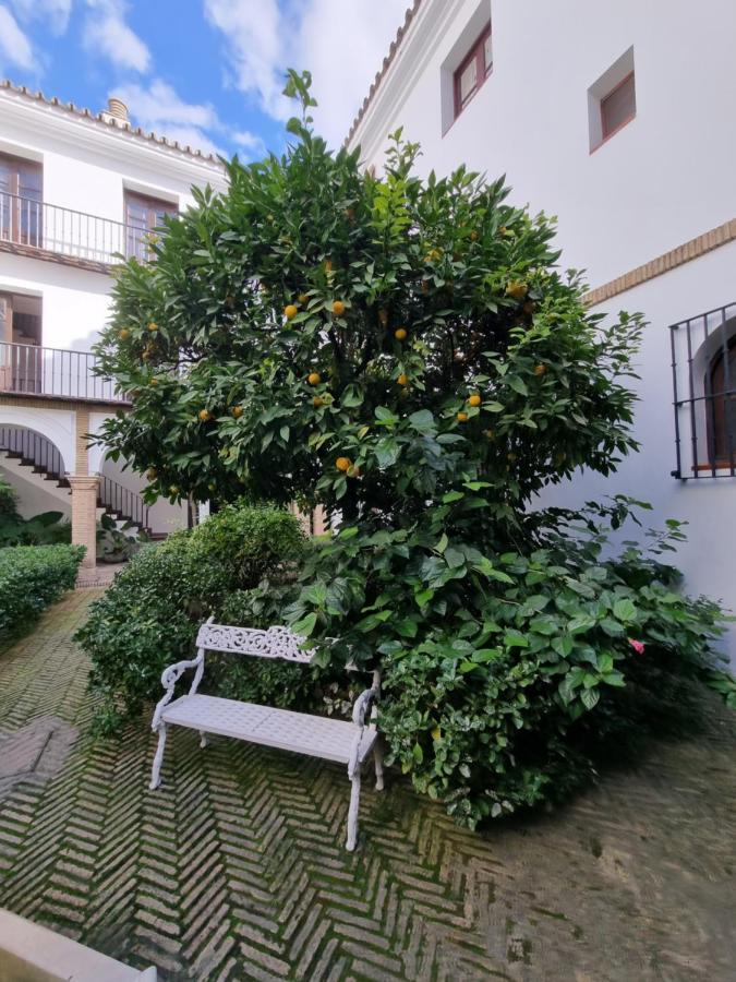 Apartamento De Dos Dormitorios En Plaza Alfaro Seville Exterior photo
